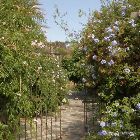 度假居 El Liron